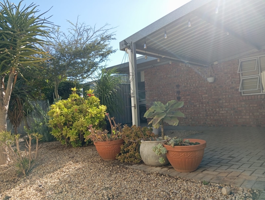 To Let 3 Bedroom Property for Rent in Cannonville Eastern Cape